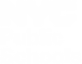 NYC Public Schools